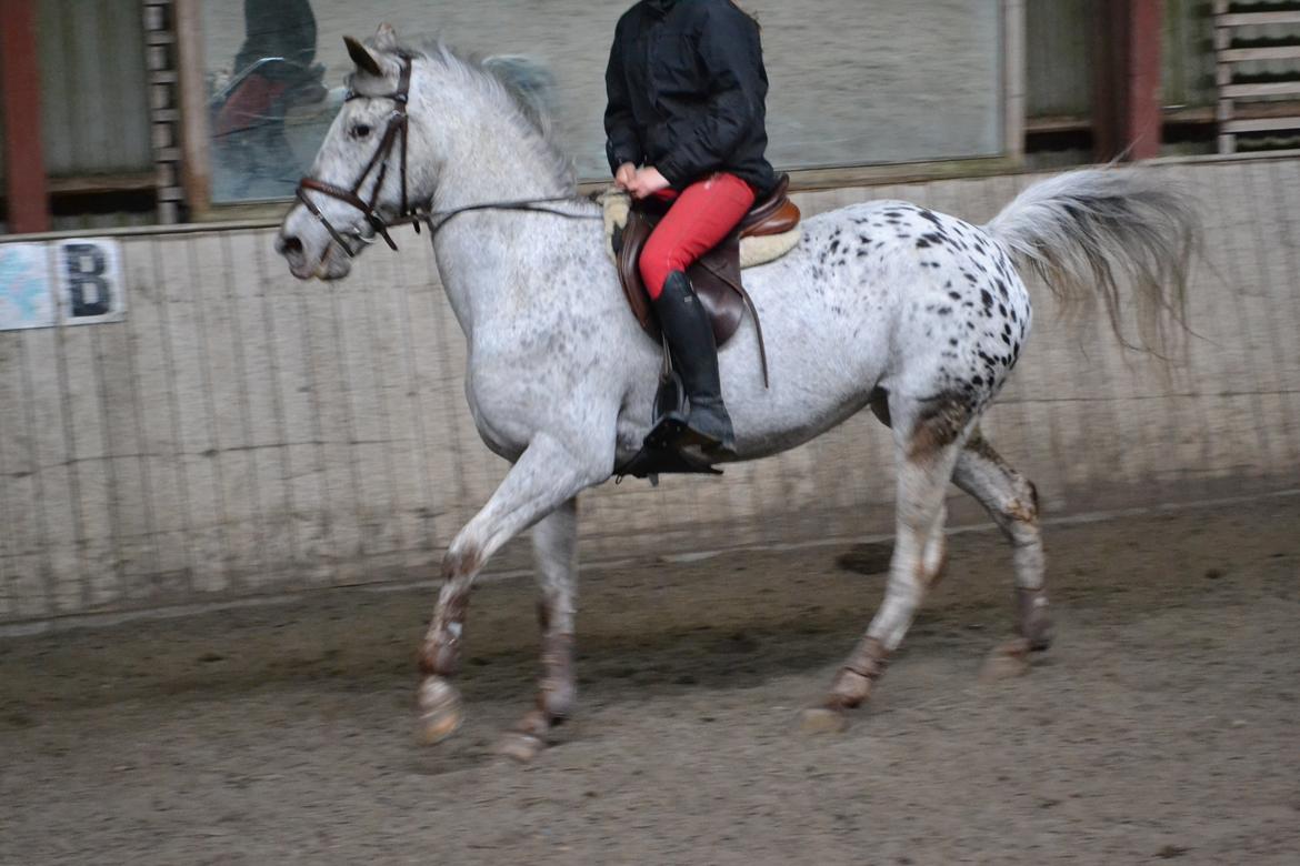 Til Solveig Malmkjær billede 50