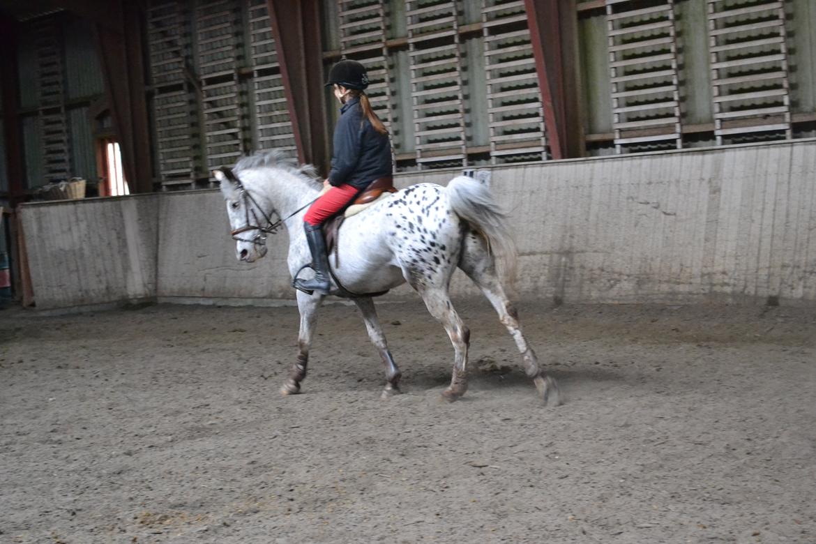 Til Solveig Malmkjær billede 51