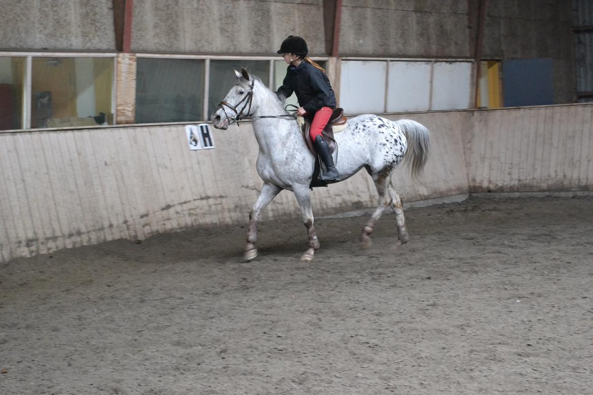 Til Solveig Malmkjær billede 52