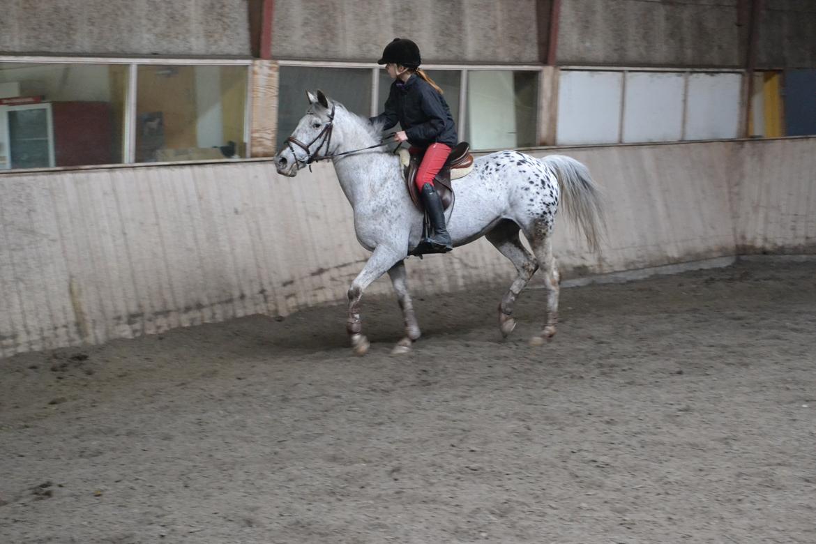 Til Solveig Malmkjær billede 53