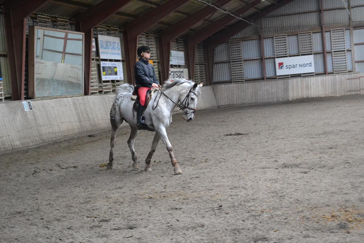 Til Solveig Malmkjær billede 54