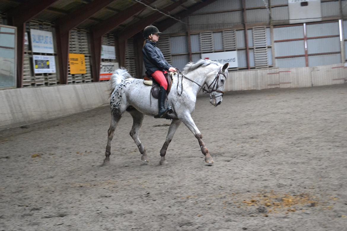 Til Solveig Malmkjær billede 55