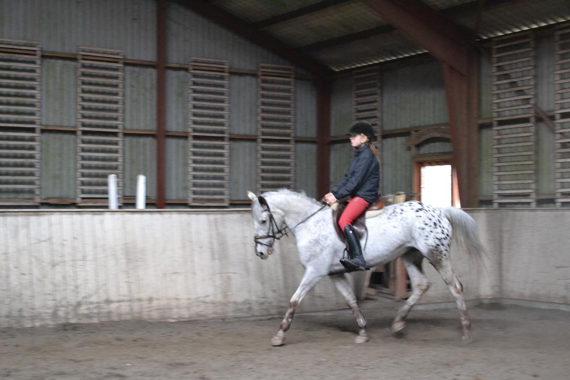 Til Solveig Malmkjær billede 56