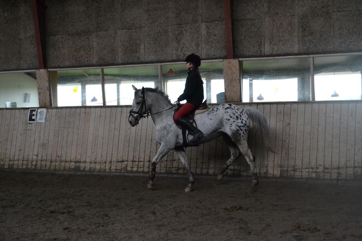 Til Solveig Malmkjær billede 57