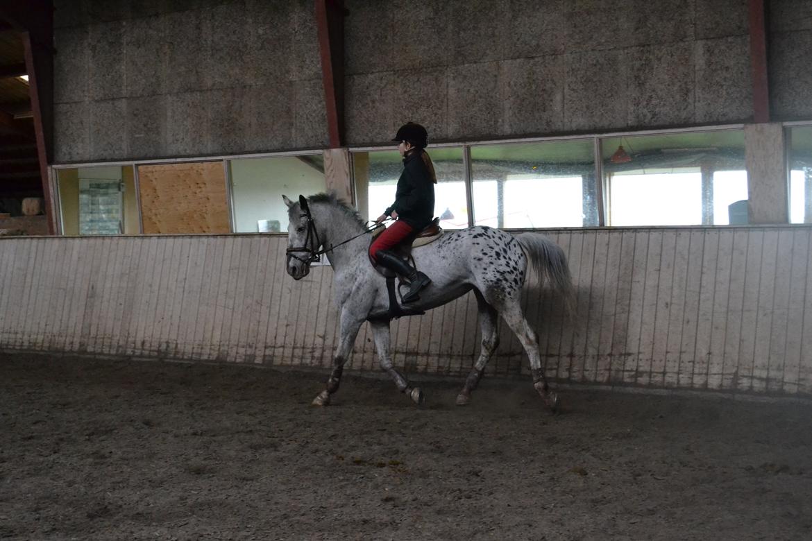 Til Solveig Malmkjær billede 58