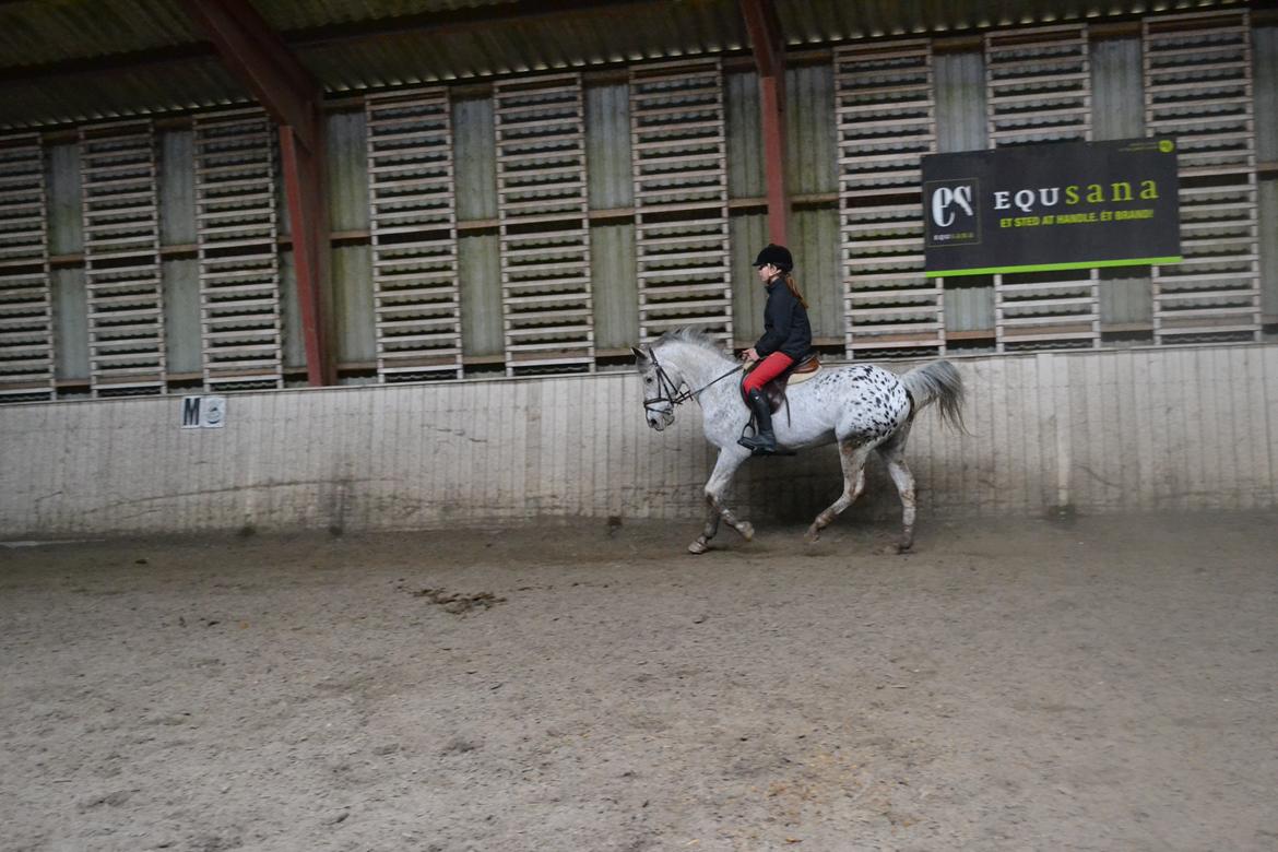 Til Solveig Malmkjær billede 59