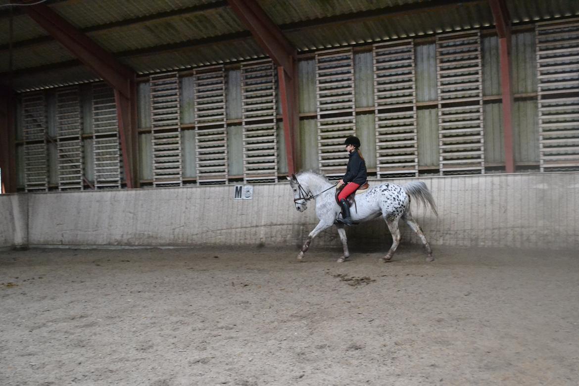 Til Solveig Malmkjær billede 60