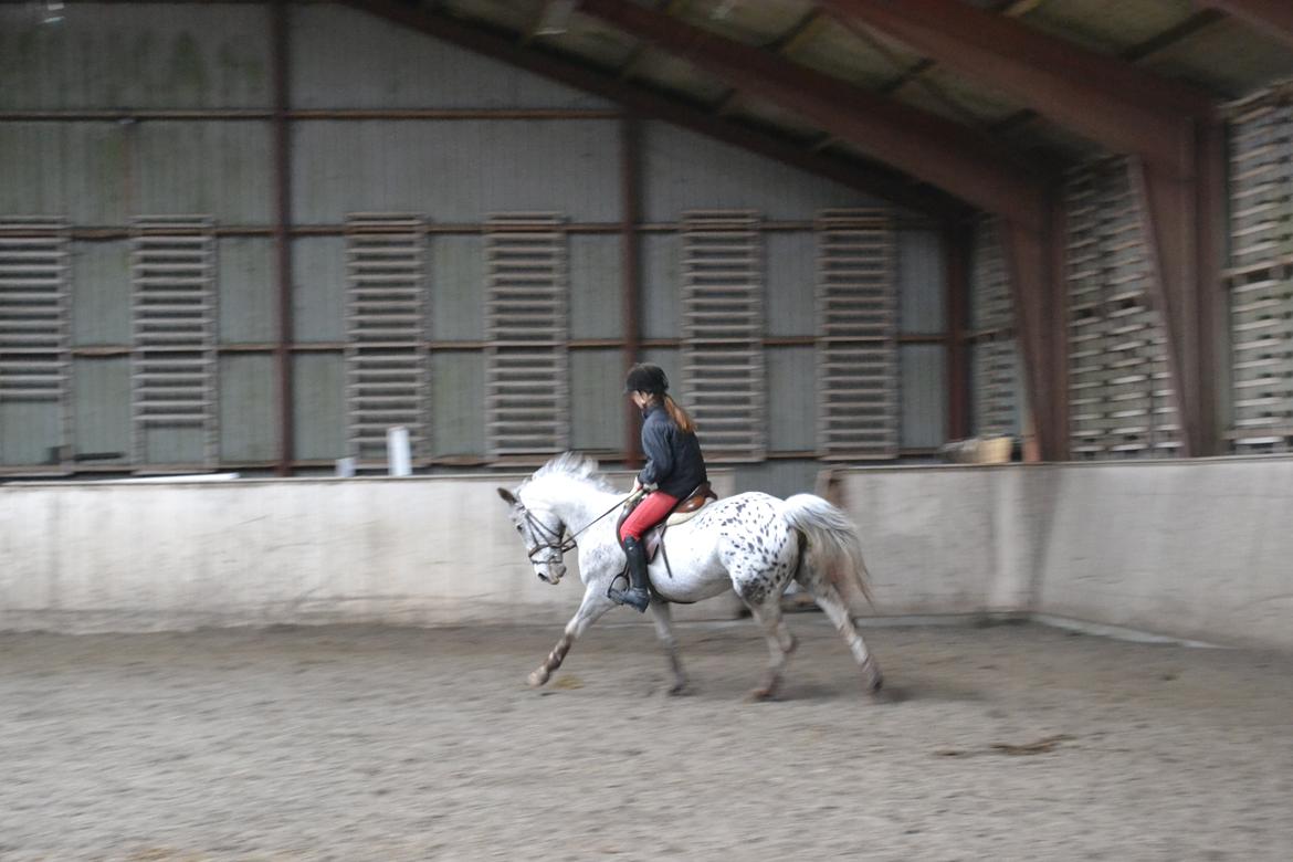 Til Solveig Malmkjær billede 61