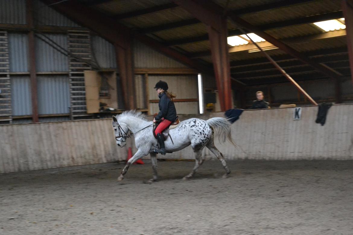 Til Solveig Malmkjær billede 62