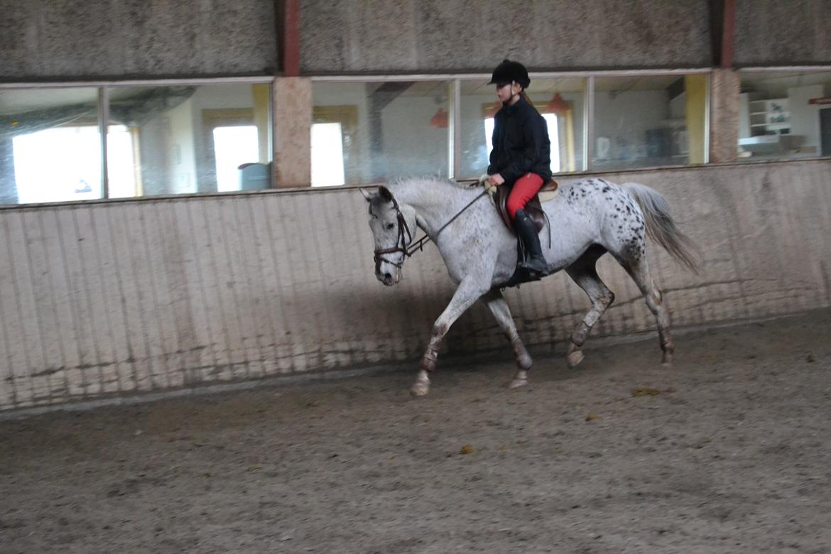 Til Solveig Malmkjær billede 63