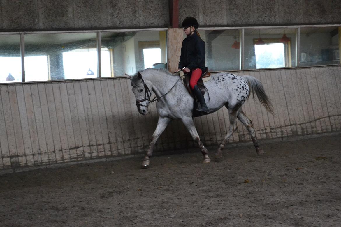 Til Solveig Malmkjær billede 64