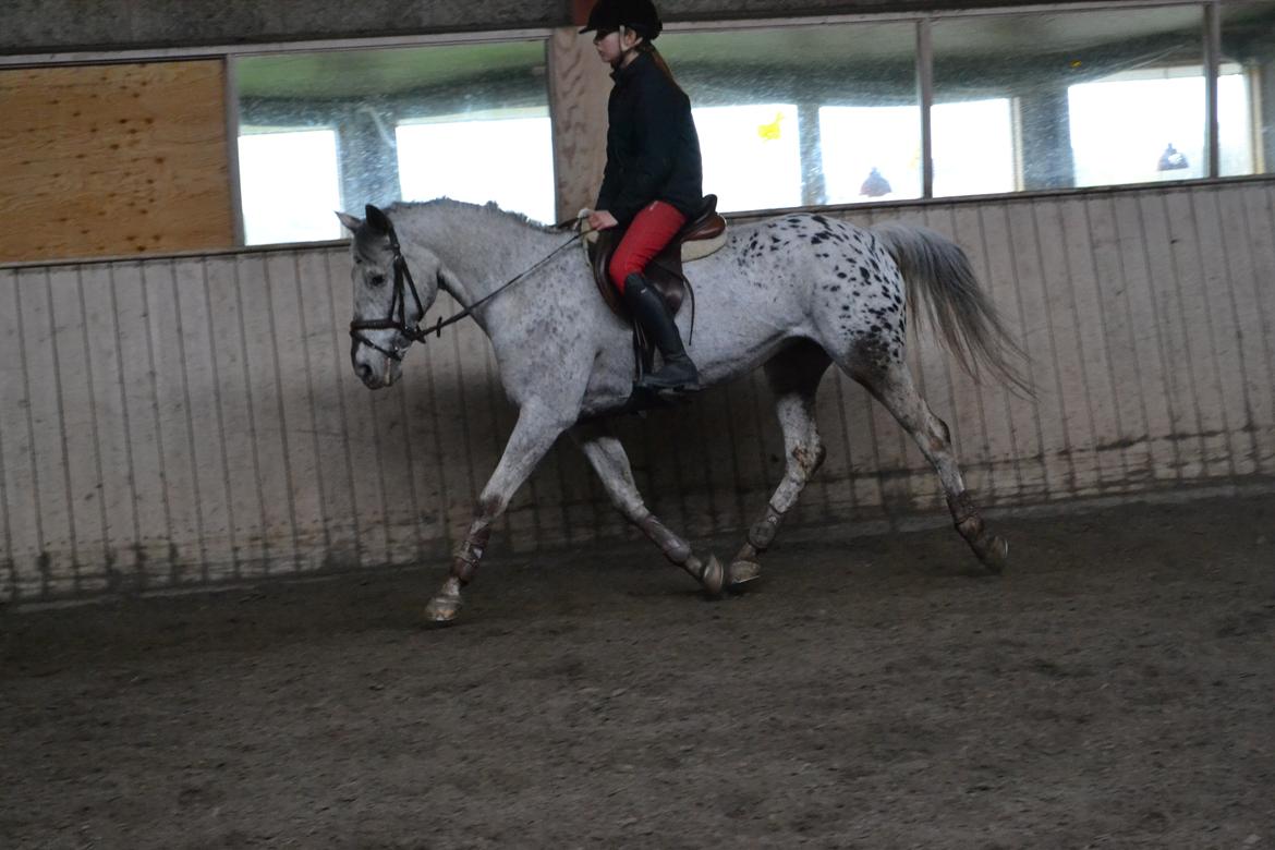 Til Solveig Malmkjær billede 65