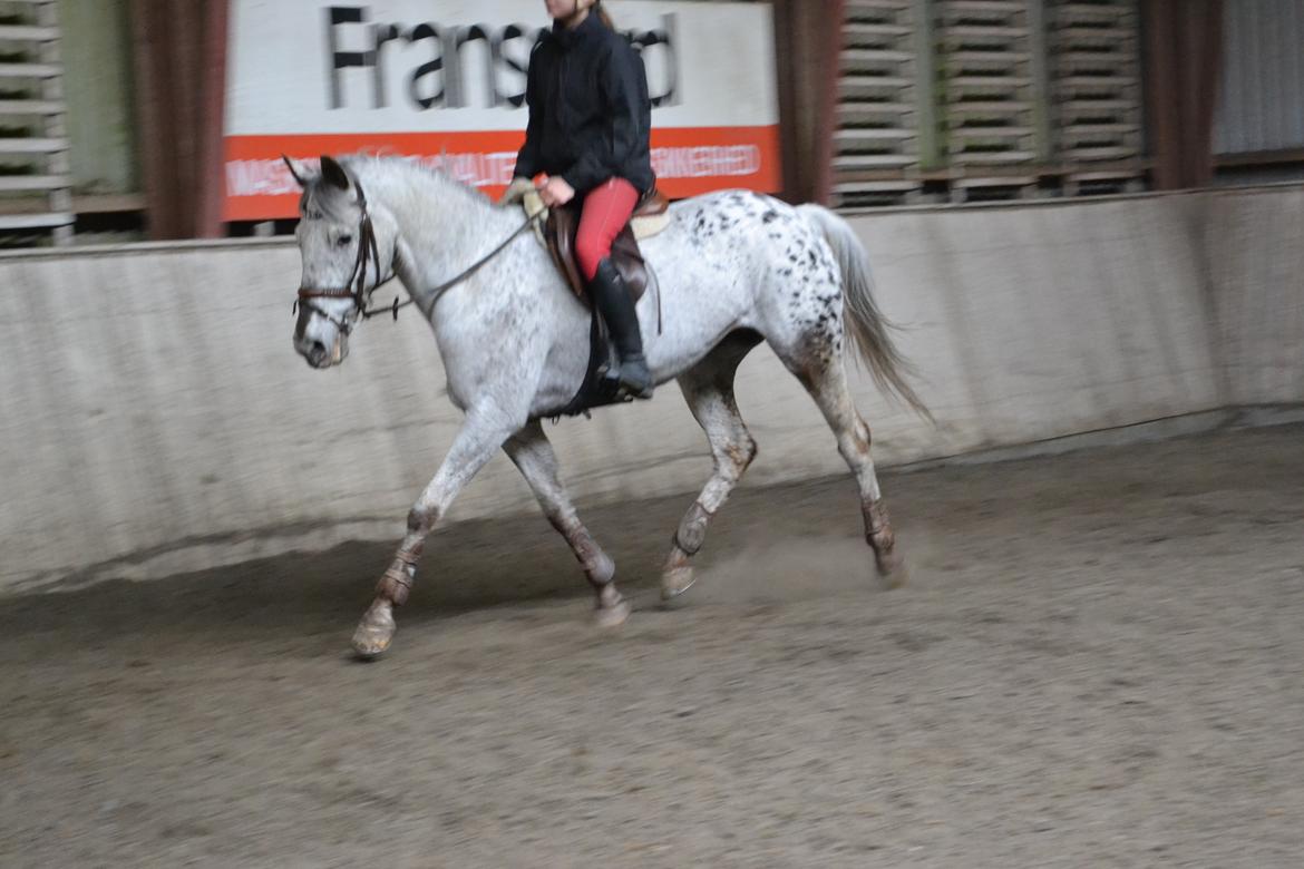 Til Solveig Malmkjær billede 66