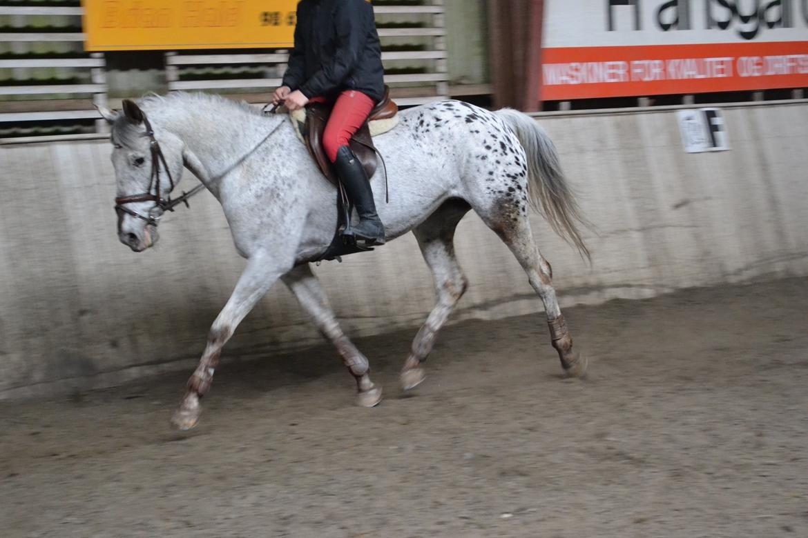 Til Solveig Malmkjær billede 67