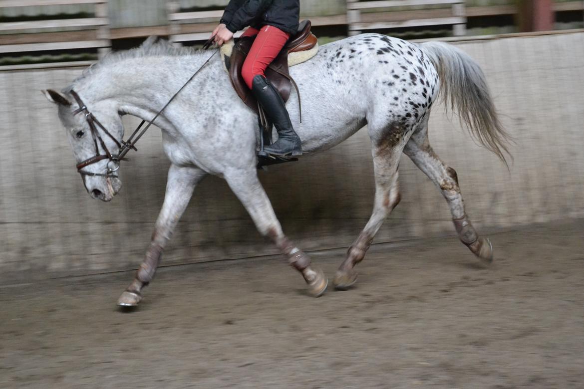 Til Solveig Malmkjær billede 68