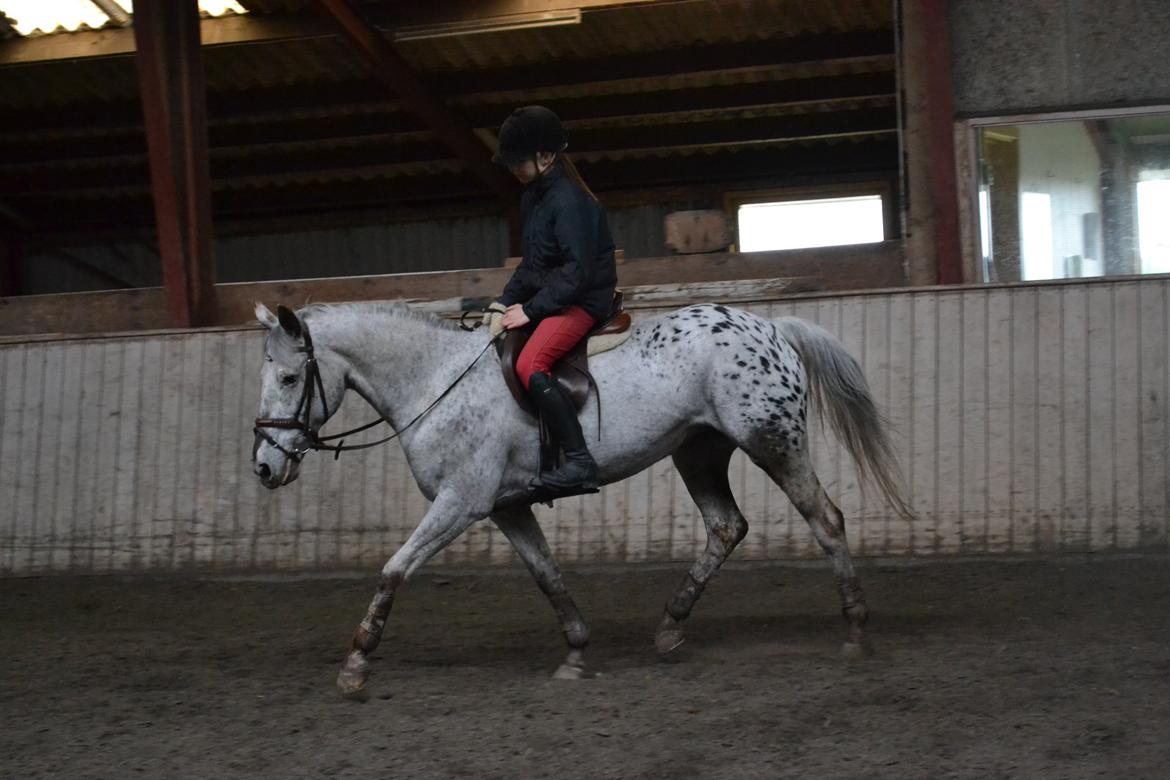 Til Solveig Malmkjær billede 69