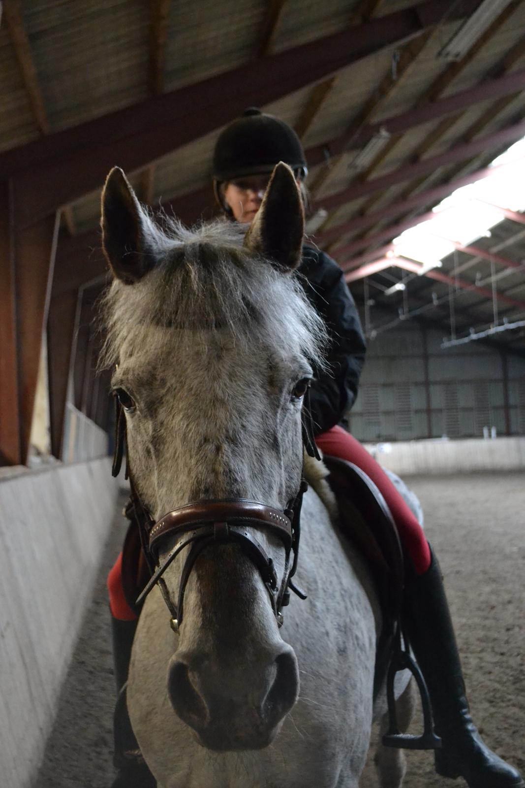 Til Solveig Malmkjær billede 70