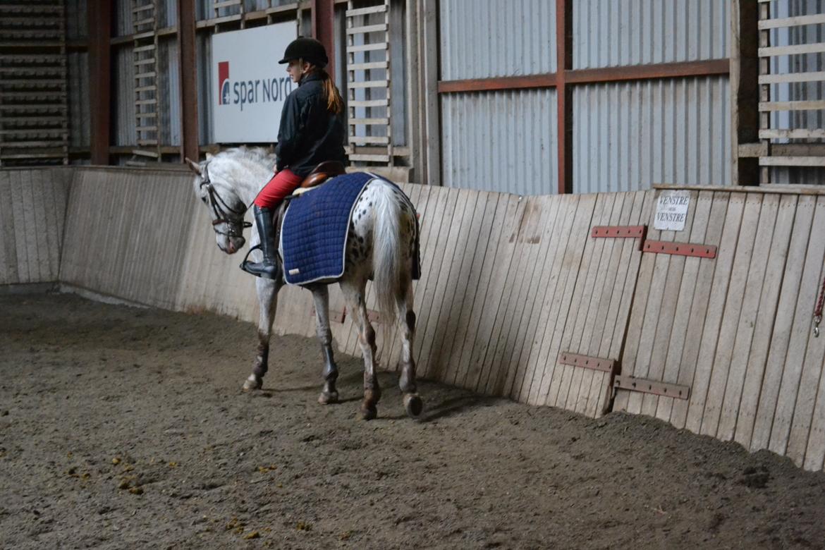 Til Solveig Malmkjær billede 71