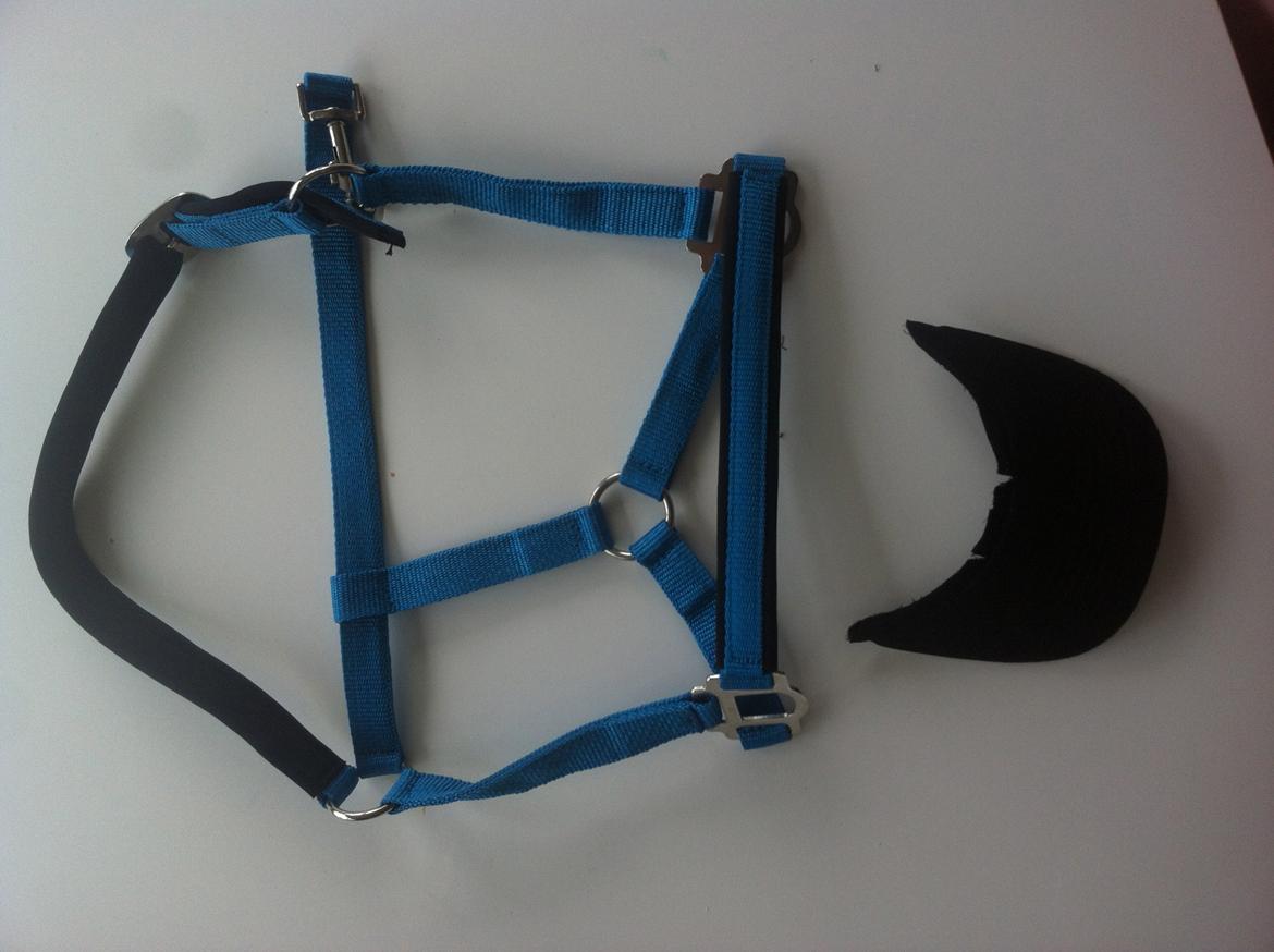 Solskoldet mule - Gå væk! billede 2