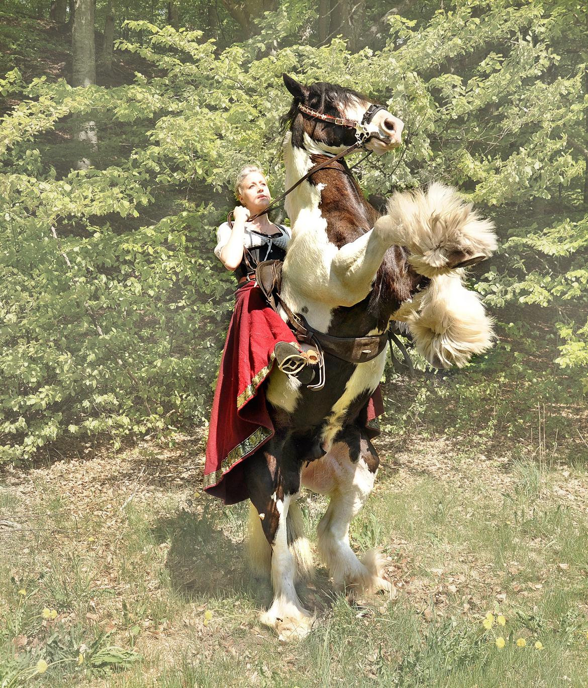 My Fairytale.. - Stående meziar / rejst jambette billede 4