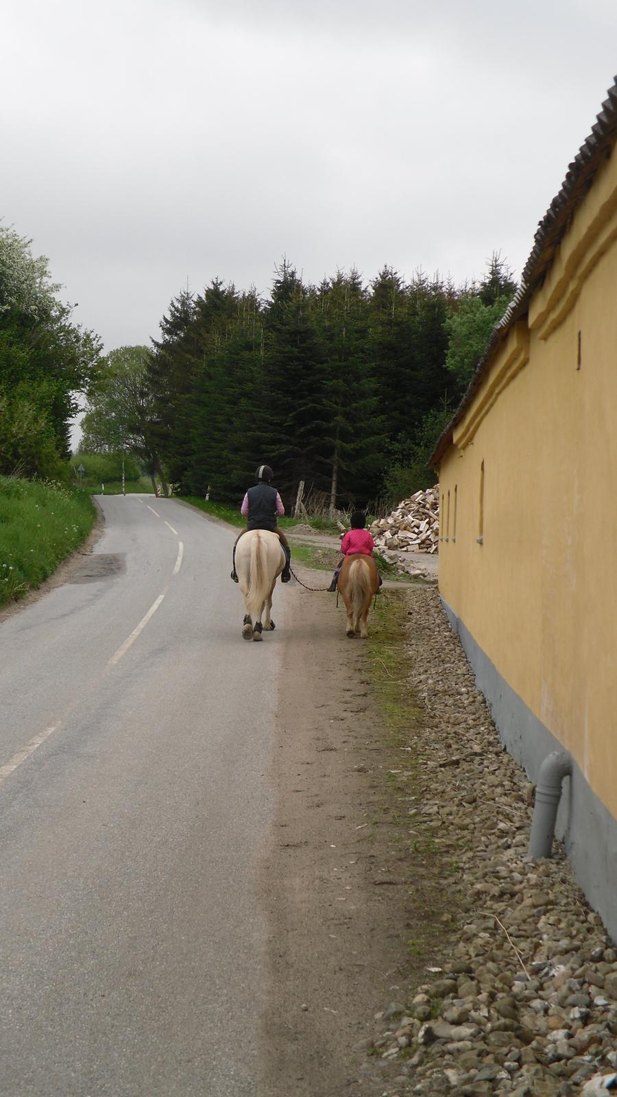 Mor datter på tur. billede 9