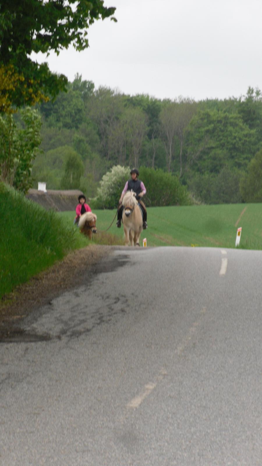 Mor datter på tur. billede 1