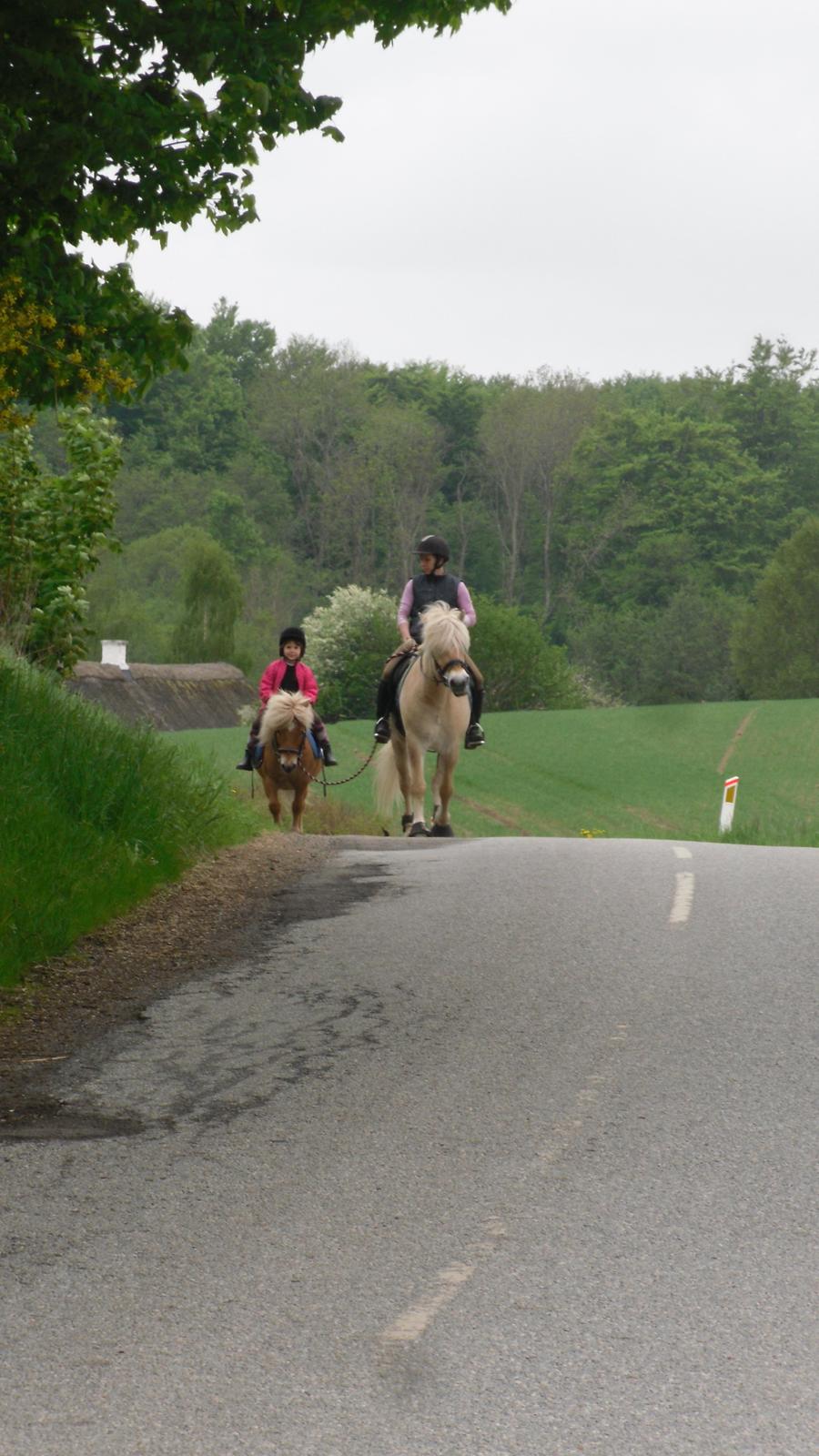 Mor datter på tur. billede 2