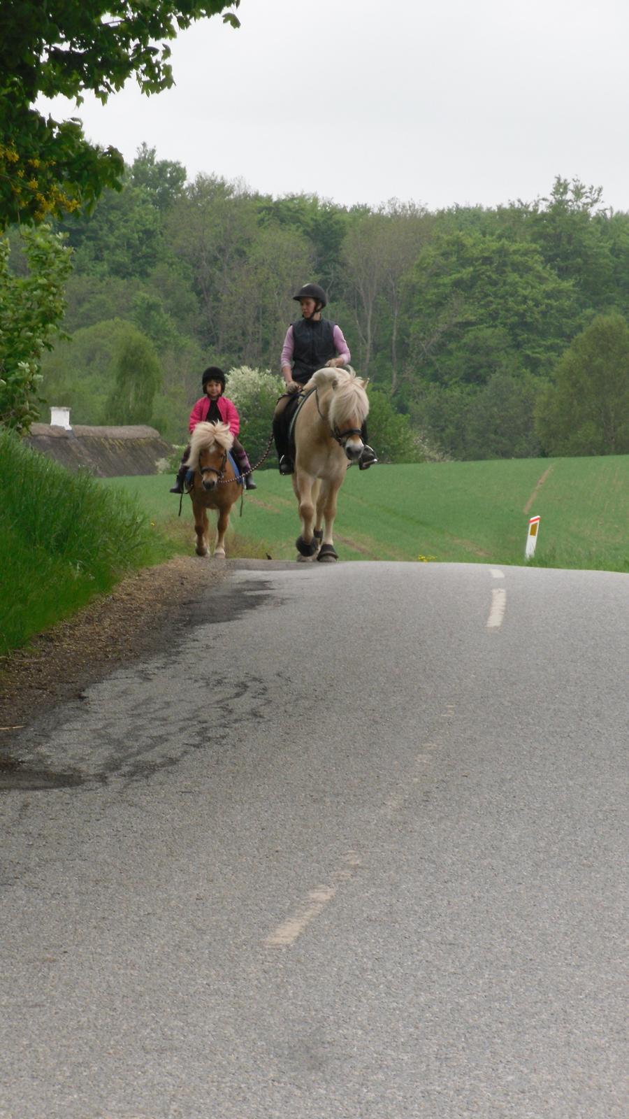Mor datter på tur. billede 3