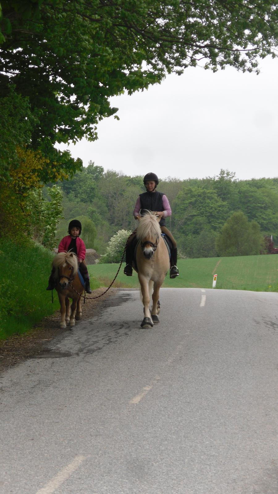 Mor datter på tur. billede 4