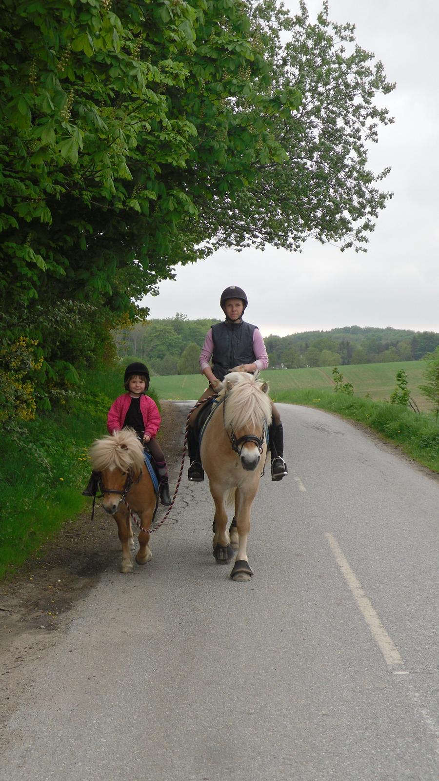 Mor datter på tur. billede 5