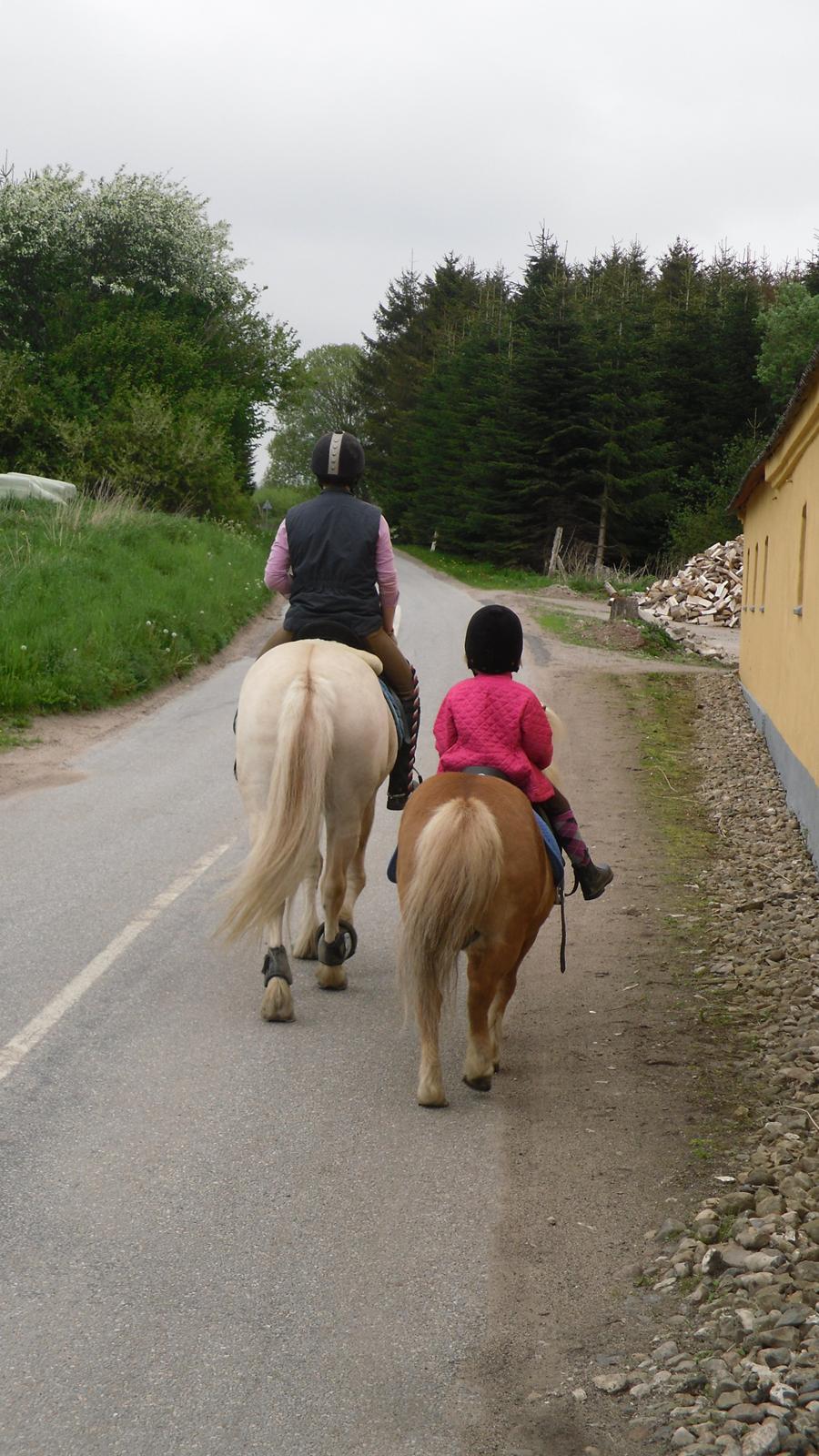 Mor datter på tur. billede 7