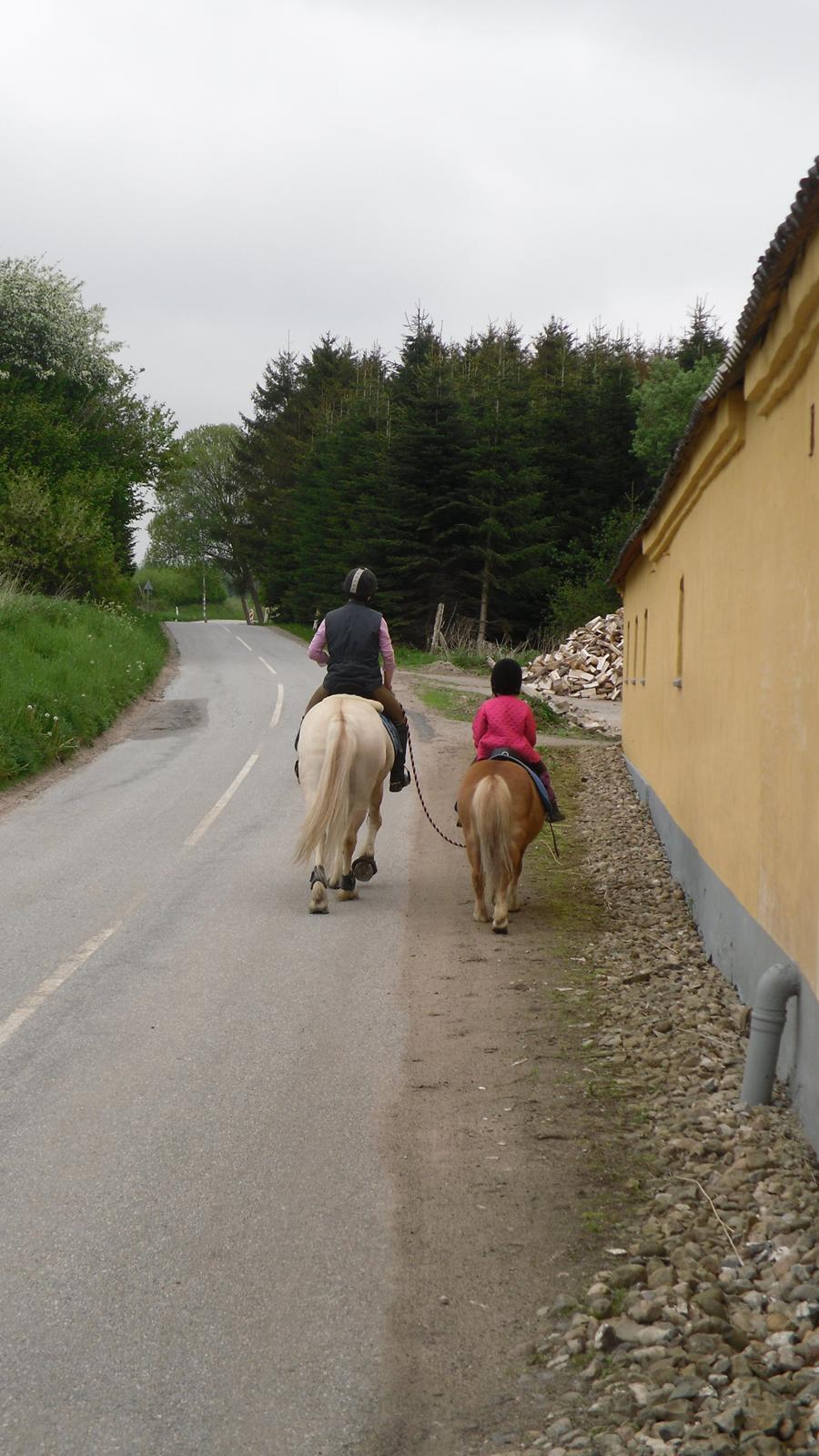 Mor datter på tur. billede 8