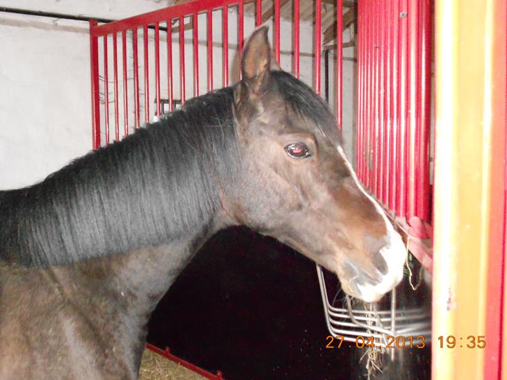 {{currentPhoto.altText}} billede {{currentPhoto.number}}