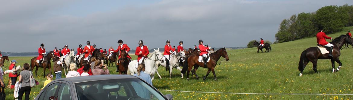 Jagt i Bognæs :) billede 1