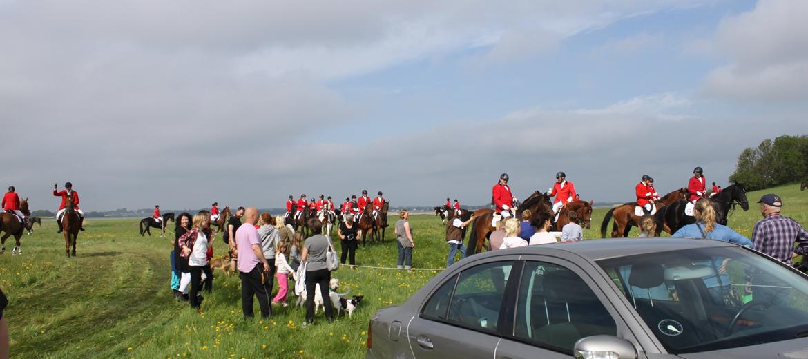 Jagt i Bognæs :) billede 2