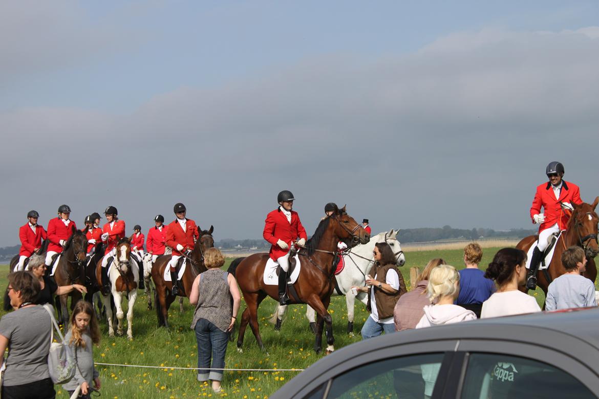 Jagt i Bognæs :) billede 3