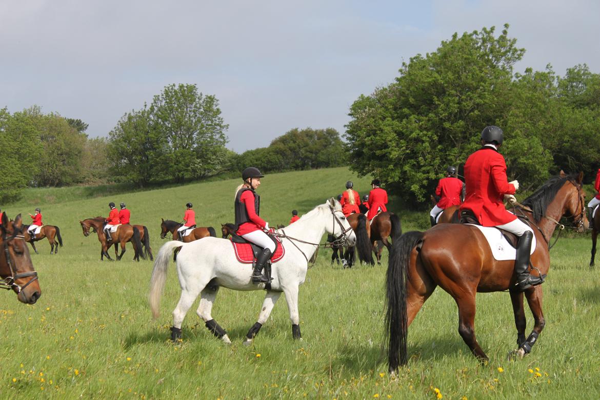 Jagt i Bognæs :) billede 4
