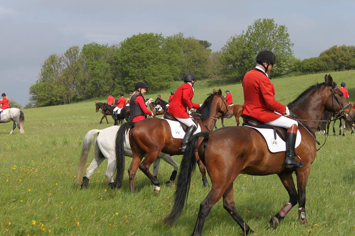 Jagt i Bognæs :) billede 5