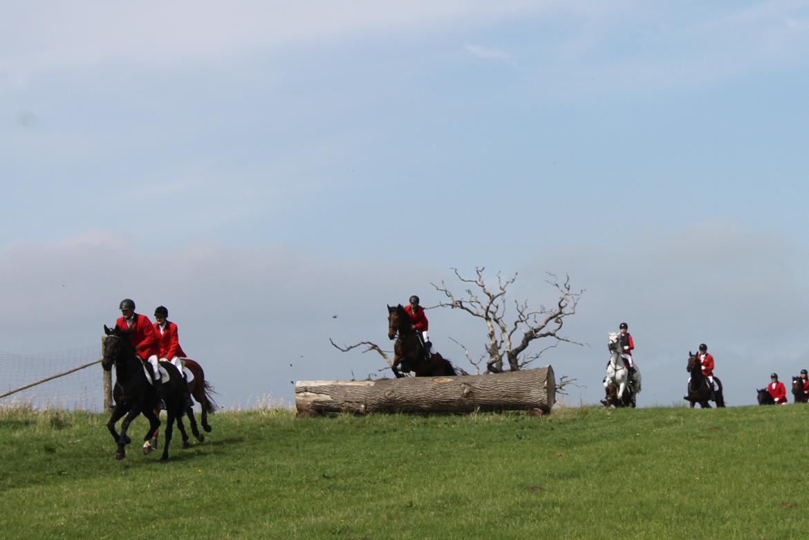 Jagt i Bognæs :) billede 8