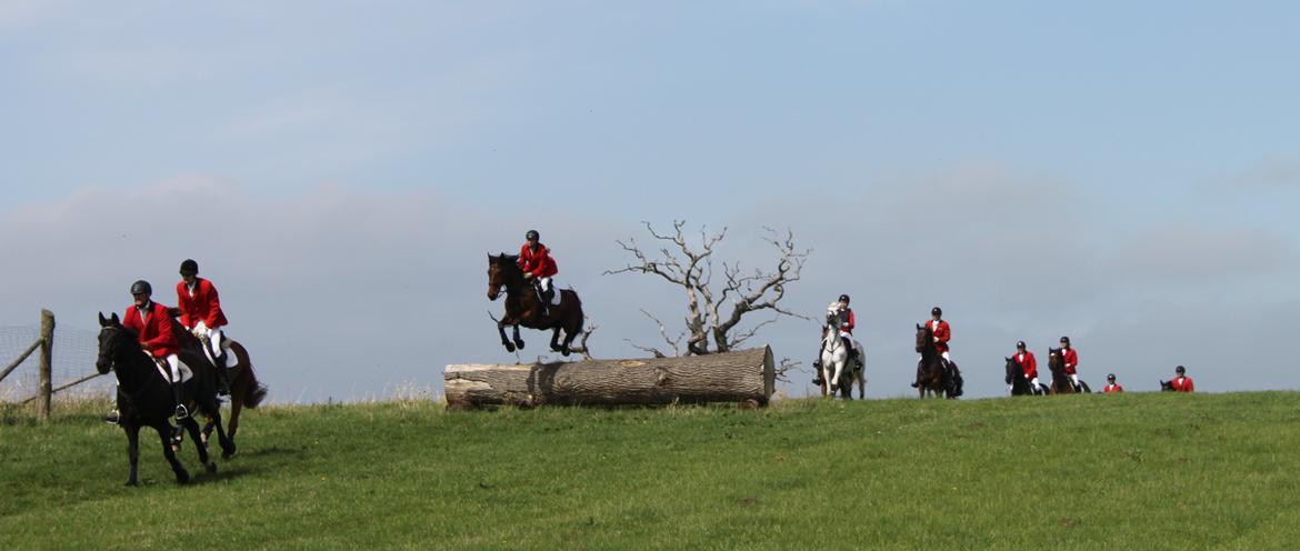 Jagt i Bognæs :) billede 9