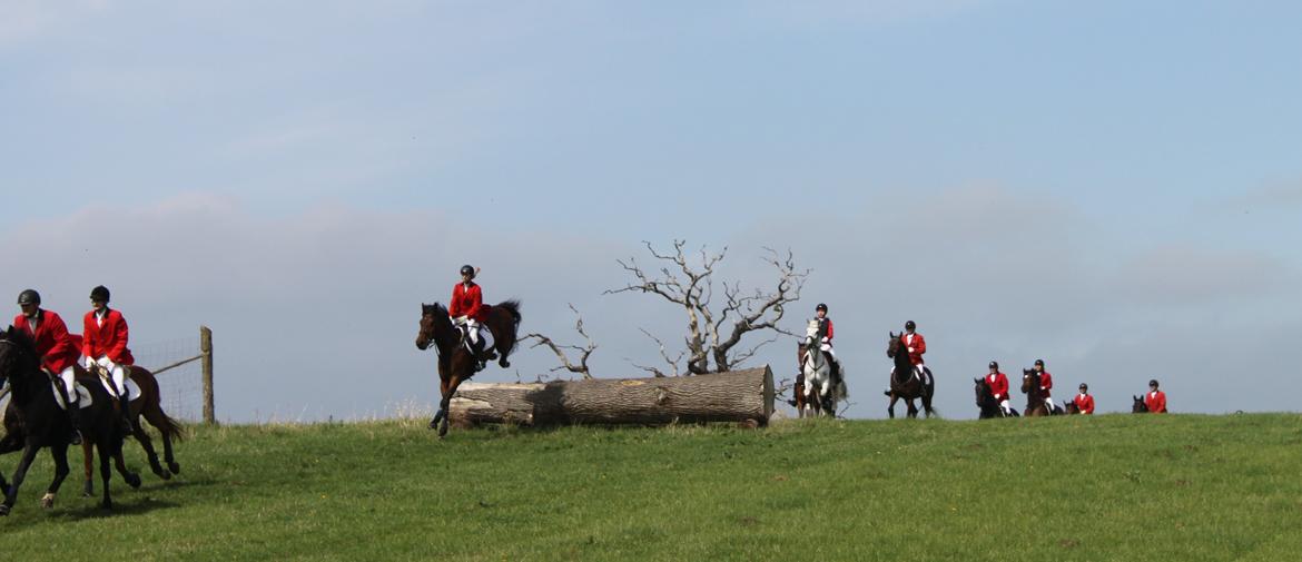 Jagt i Bognæs :) billede 10