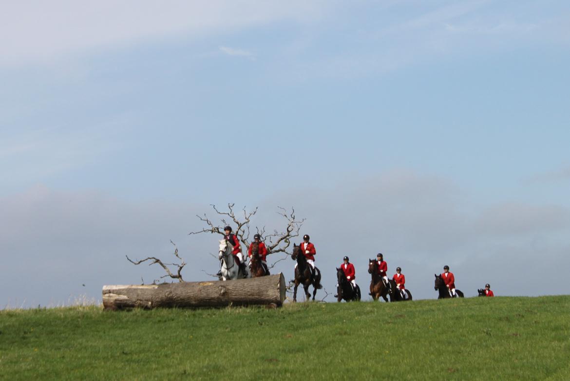 Jagt i Bognæs :) billede 11