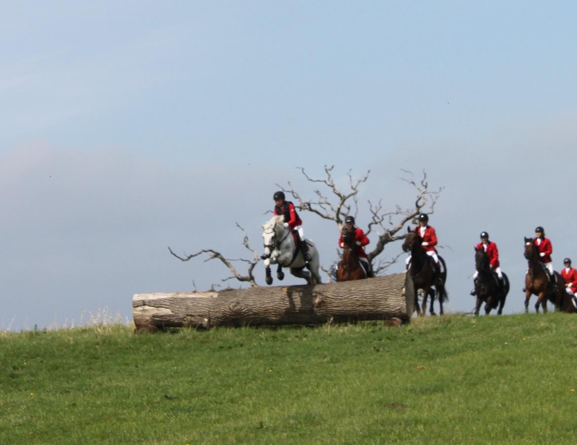 Jagt i Bognæs :) billede 12