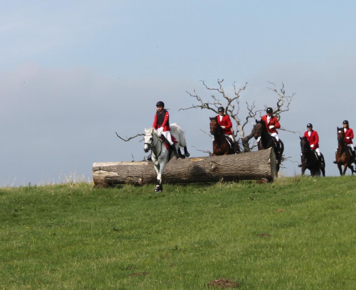Jagt i Bognæs :) billede 13