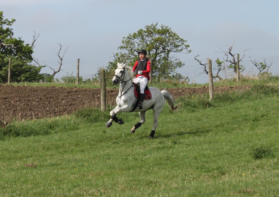 Jagt i Bognæs :) billede 14