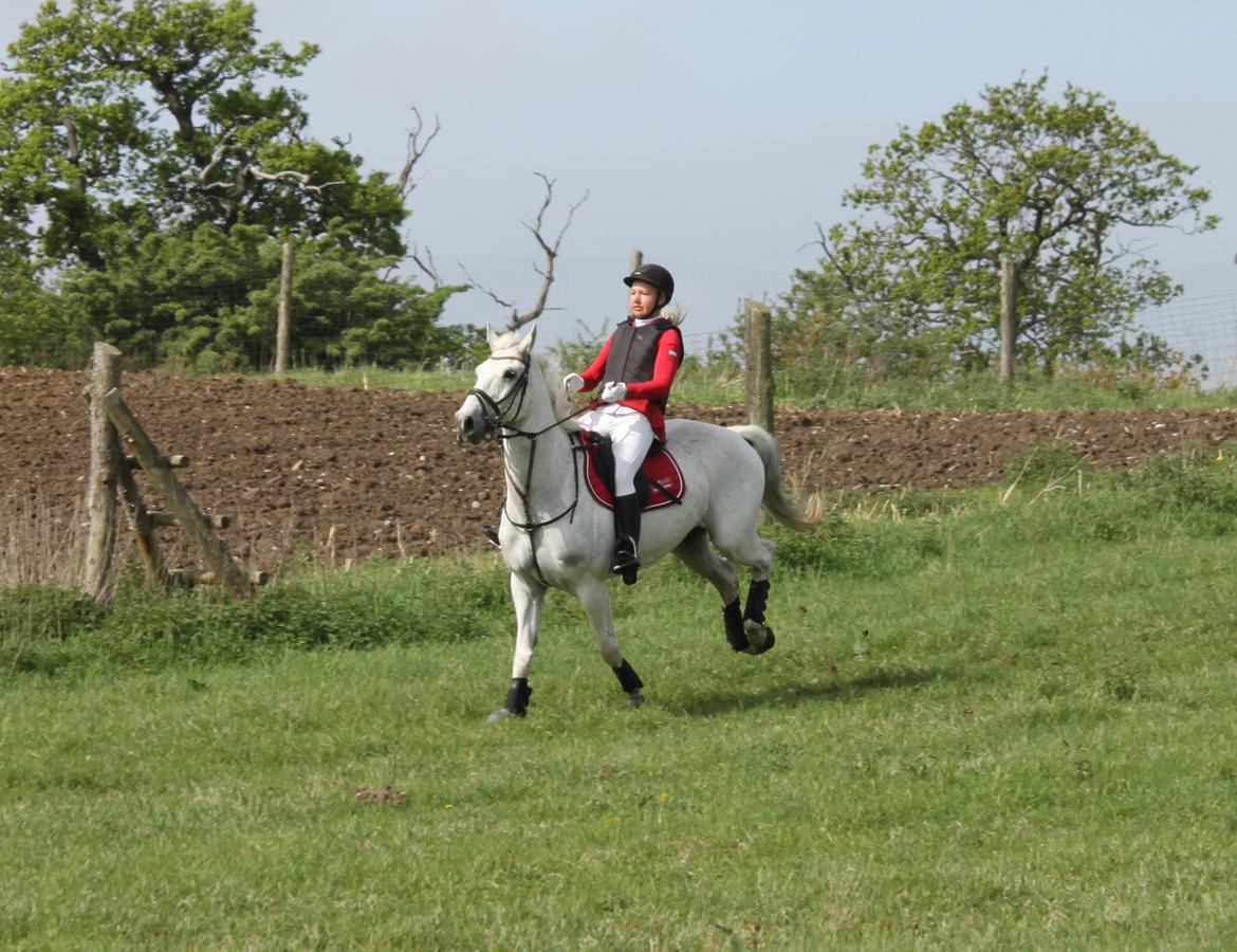 Jagt i Bognæs :) billede 15