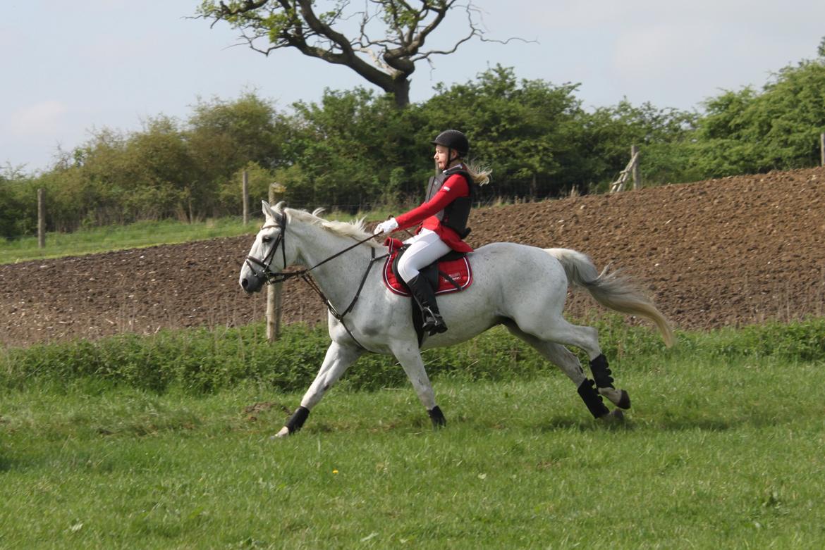 Jagt i Bognæs :) billede 16