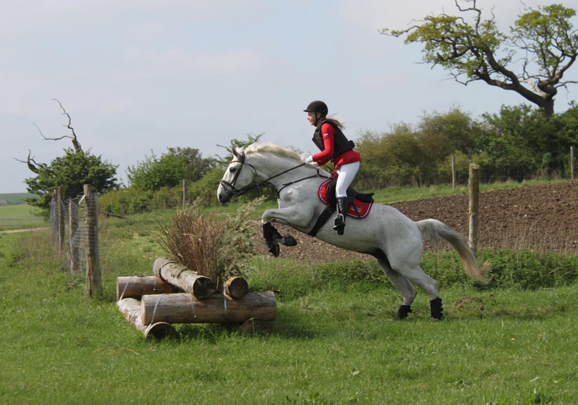 Jagt i Bognæs :) billede 17