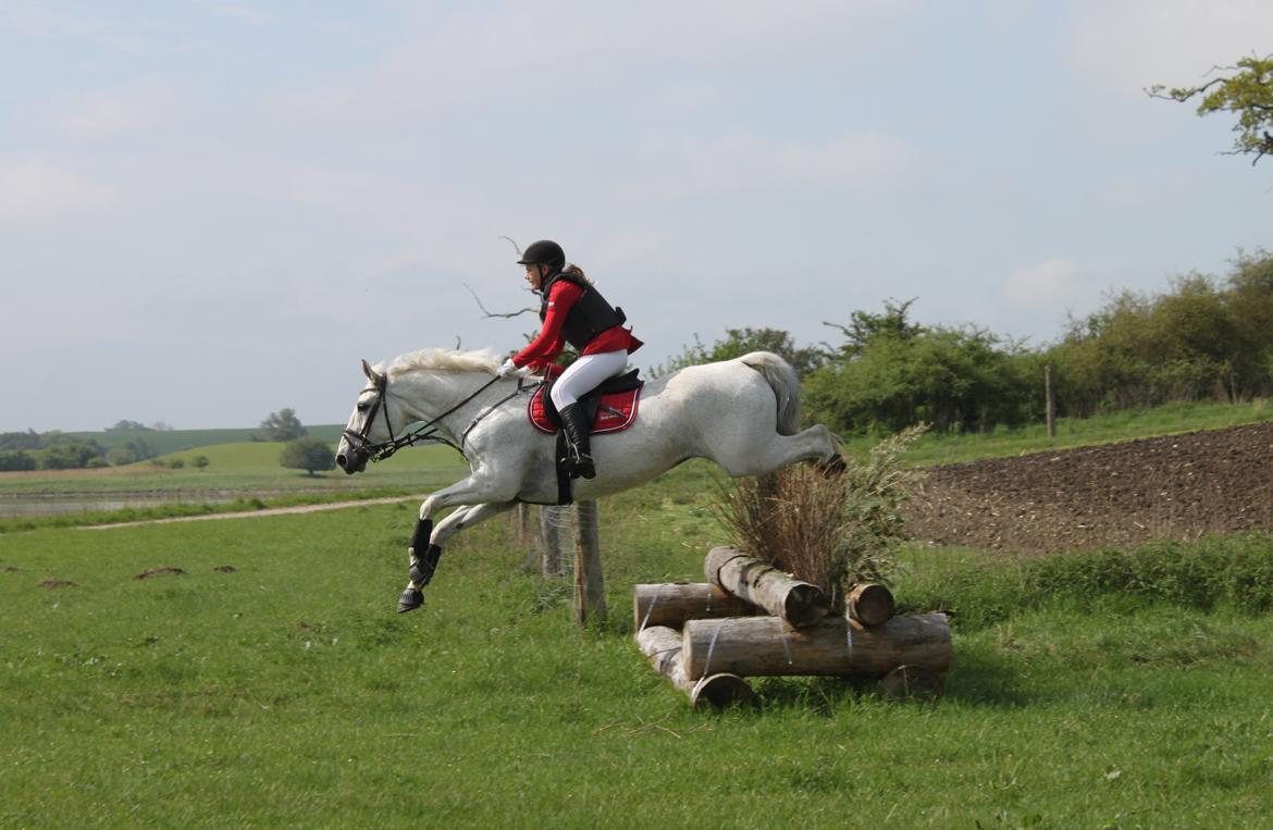 Jagt i Bognæs :) billede 18