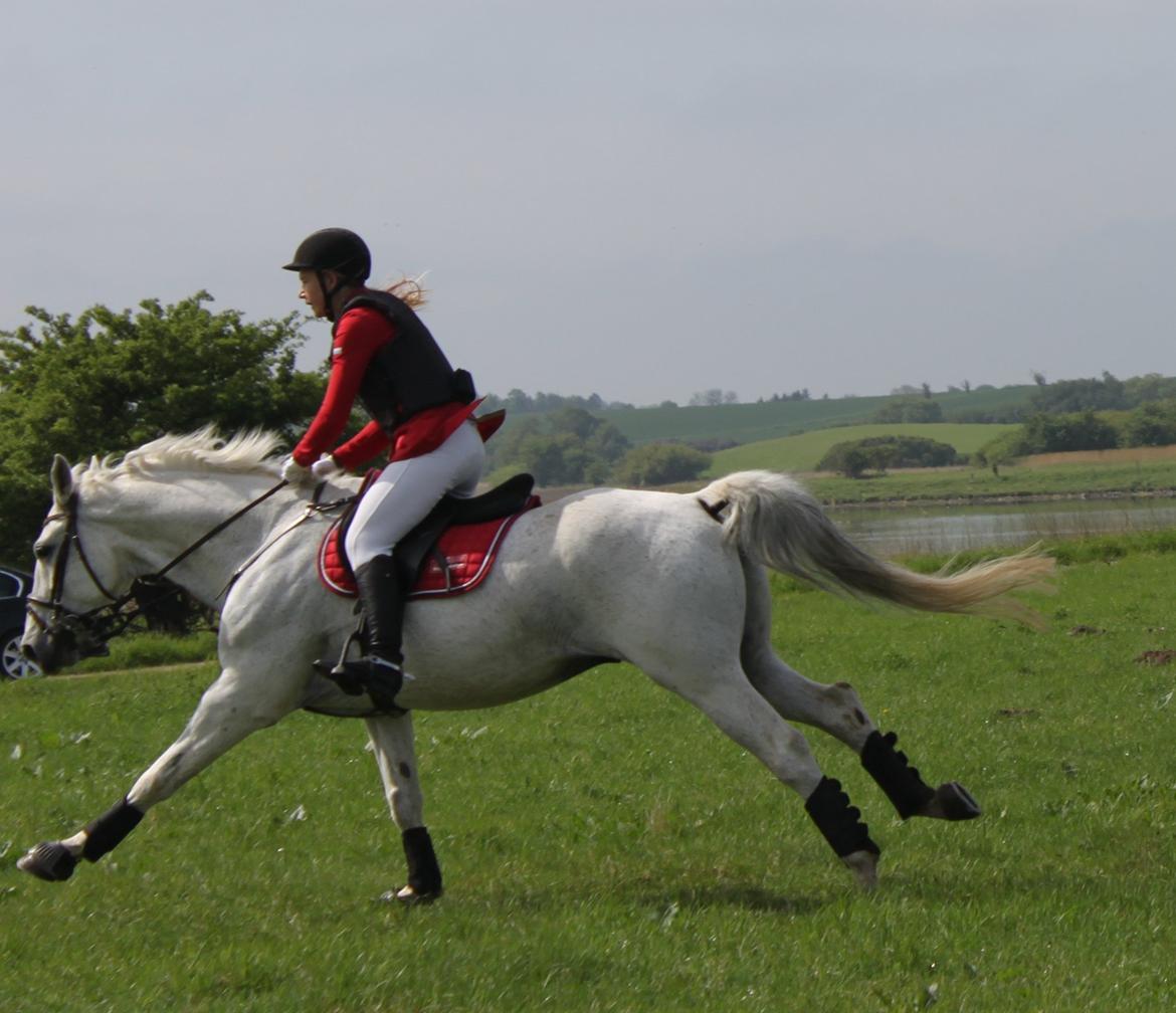 Jagt i Bognæs :) billede 19